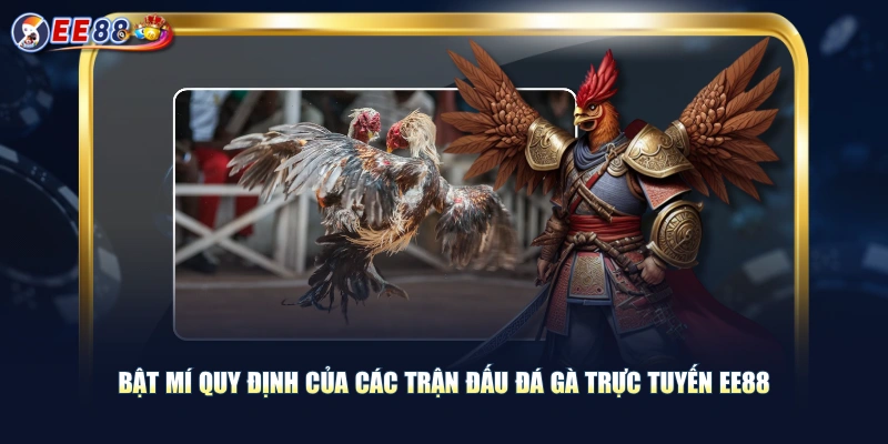 Bật mí quy định của các trận đấu đá gà trực tuyến EE88