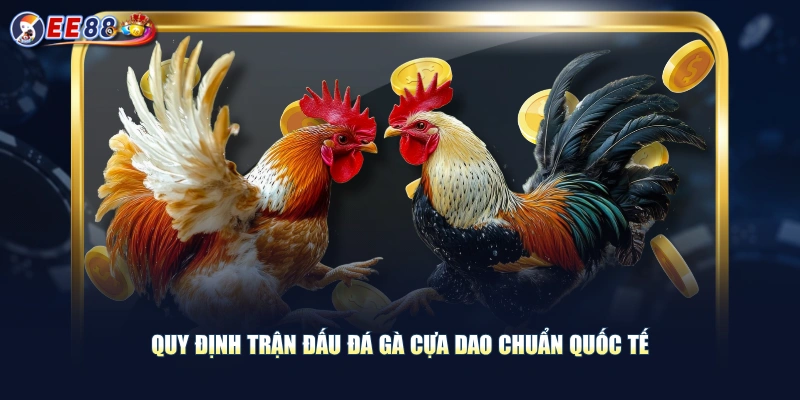 Quy định trận đấu đá gà cựa dao chuẩn quốc tế