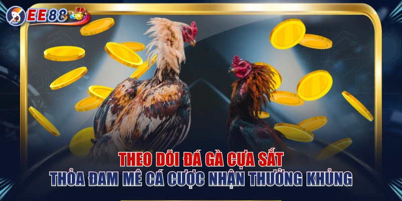 Theo Dõi Đá Gà Cựa Sắt Thỏa Đam Mê Cá Cược Nhận Thưởng Khủng