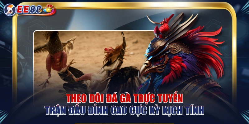 Theo Dõi Đá Gà Trực Tuyến Trận Đấu Đỉnh Cao Cực Kỳ Kịch Tính